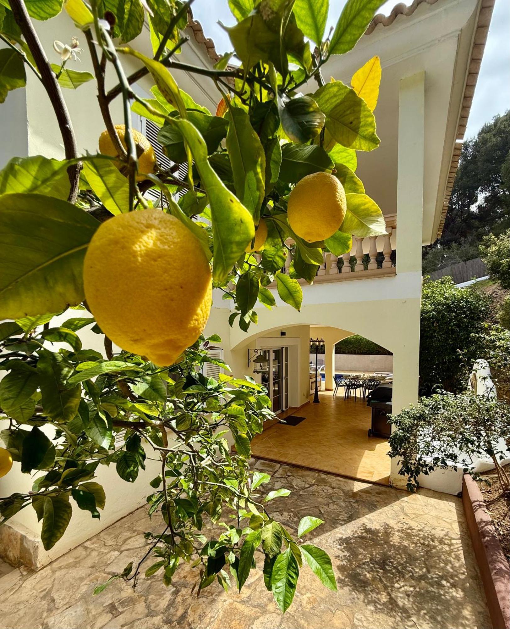 Poolvilla Patricia - Camp De Mar Андрач Экстерьер фото
